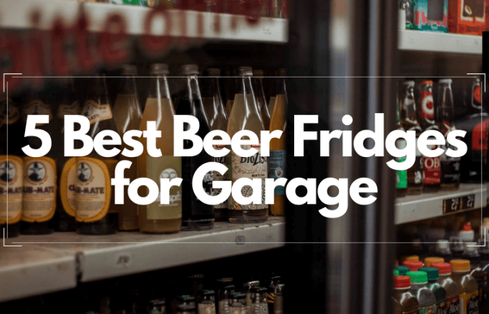 5 Best Beer Fridges for Garage