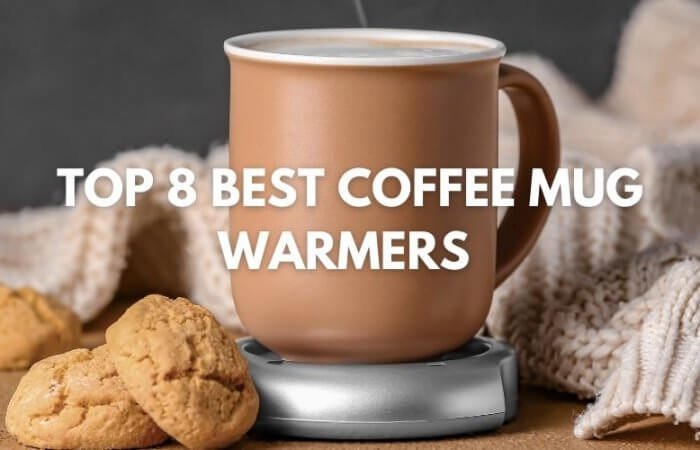 Top 8 Best Coffee Mug Warmers 2023