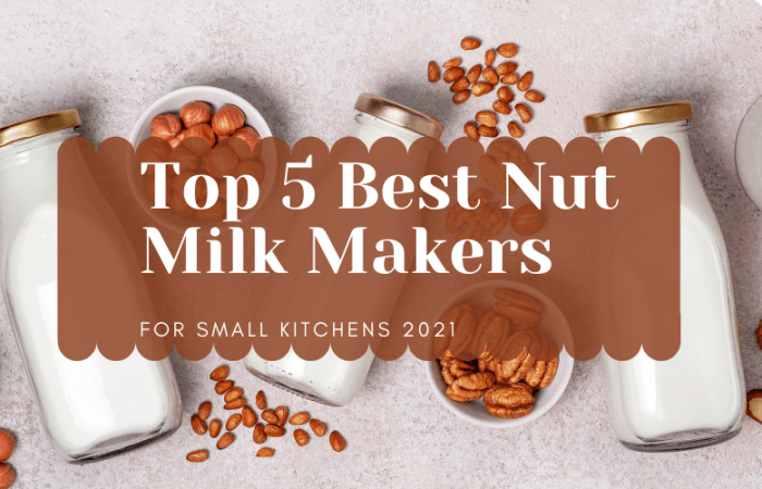 Top 5 Best Nut Milk Makers for Small Kitchens 2021