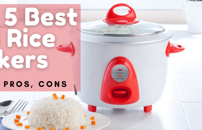 Top 5 Best Mini Rice Cookers 2021