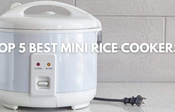 Top 5 Best Mini Rice Cookers in 2022