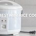 Top 5 Best Mini Rice Cookers in 2023