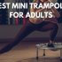 6 Best Mini Trampolines For Adults With A Buyer's Guide