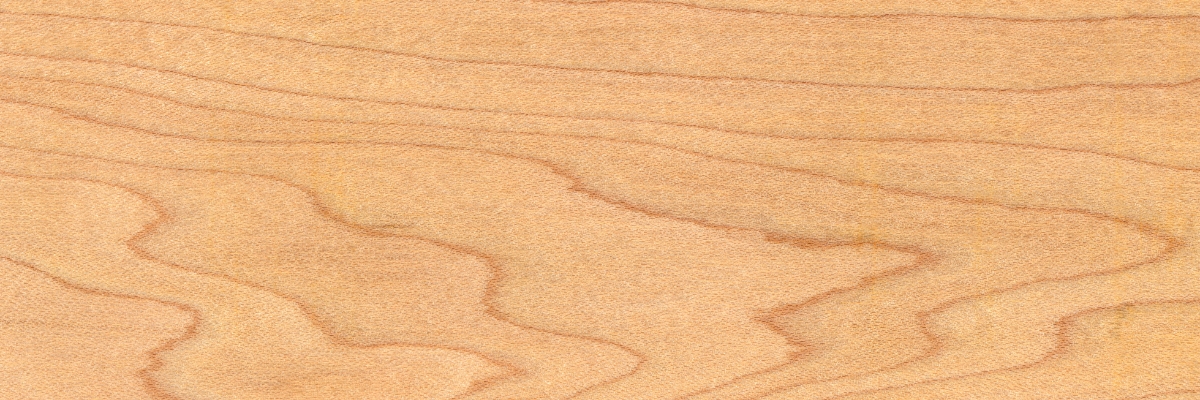 maple wood texture