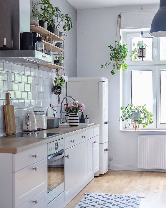 Scandinavian Tiny Kitchen Interior