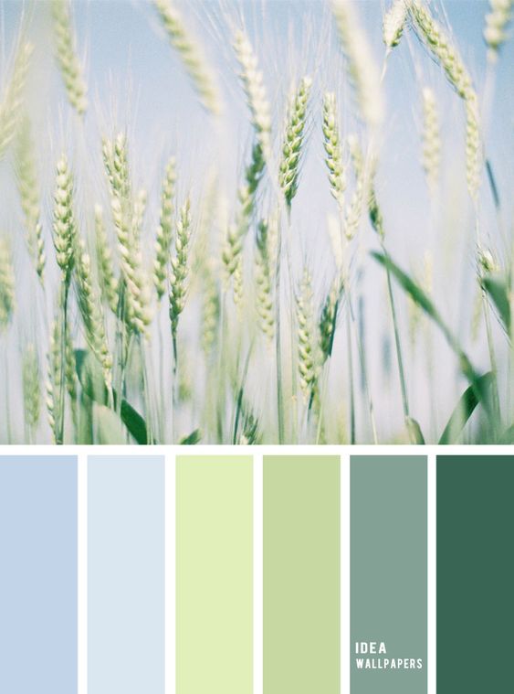 Light Colors pallete