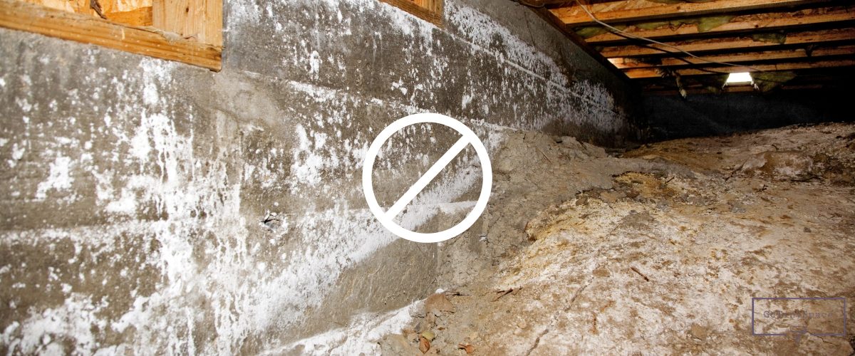 how to remove mold from crawl space