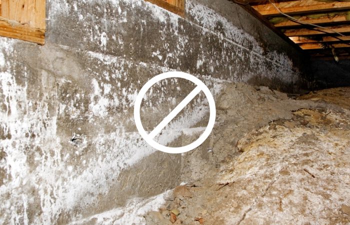 How to Remove Mold from Your Crawl Space