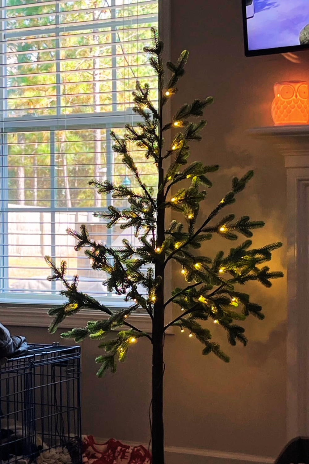 Christmas Tree with Lights