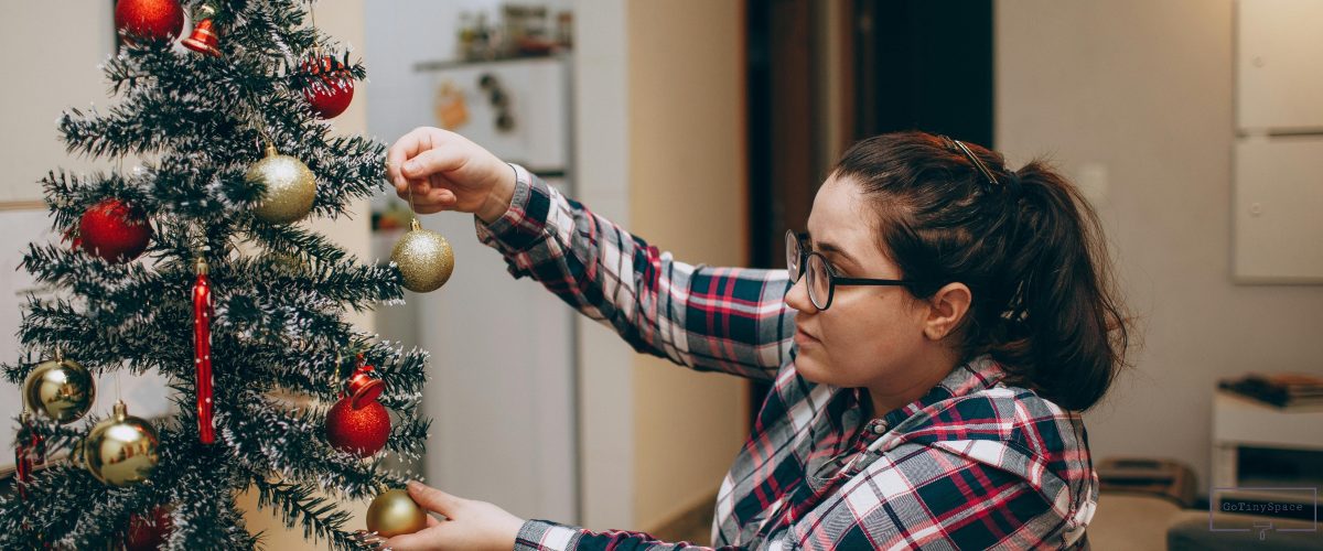 Small Christmas Tree Ideas