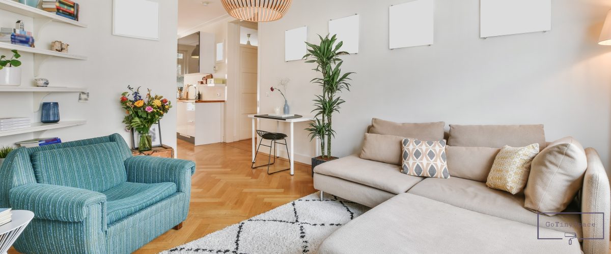 small living room ideas​