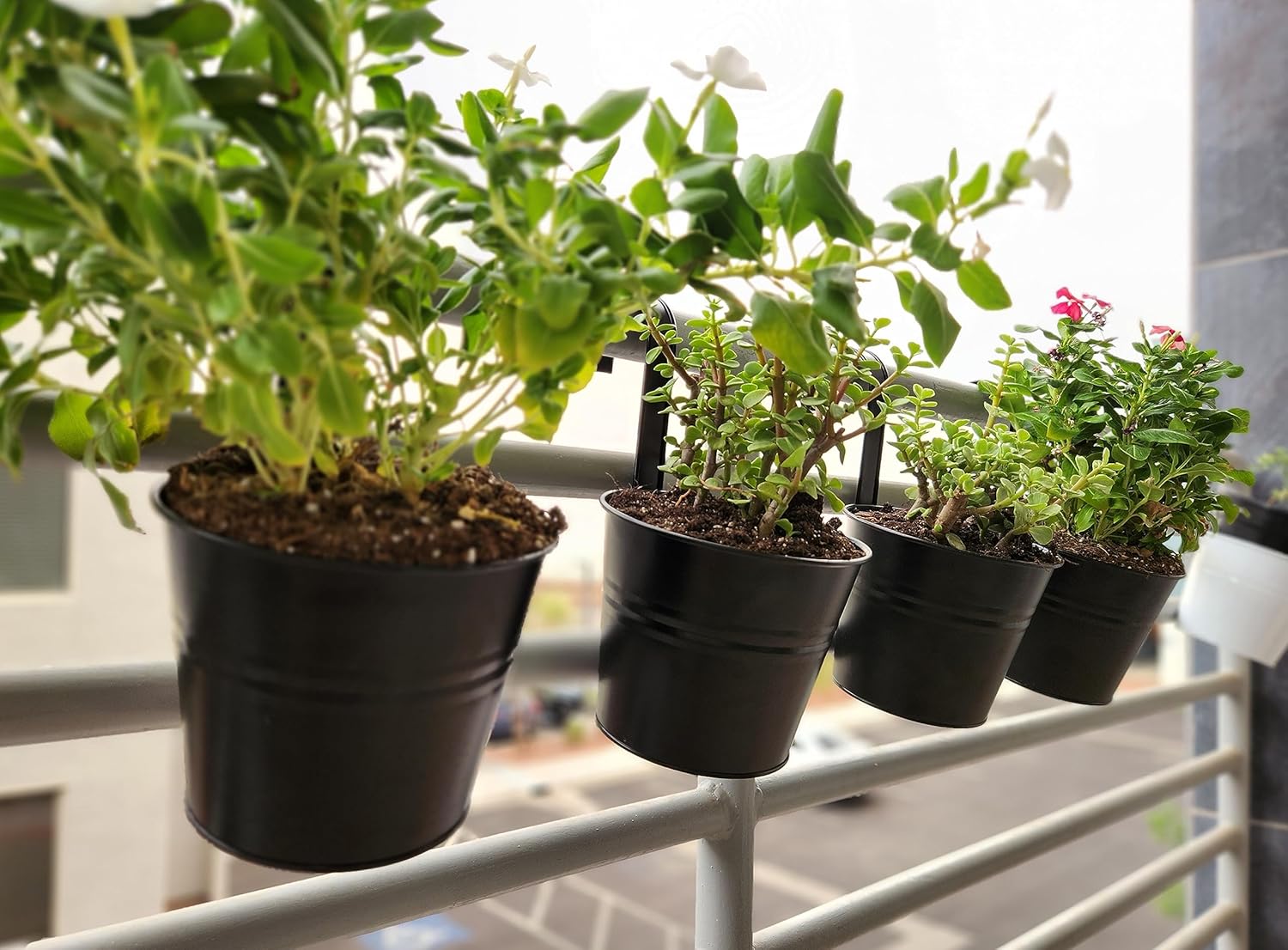 Black Iron Hanging Bucket Planters