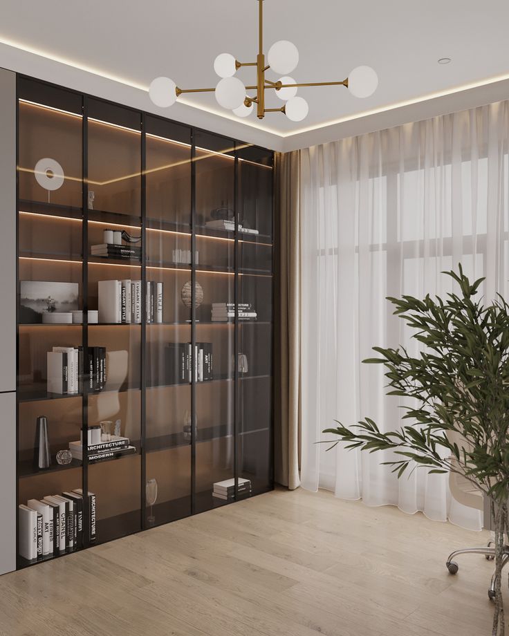 Glass-Fronted home library.
