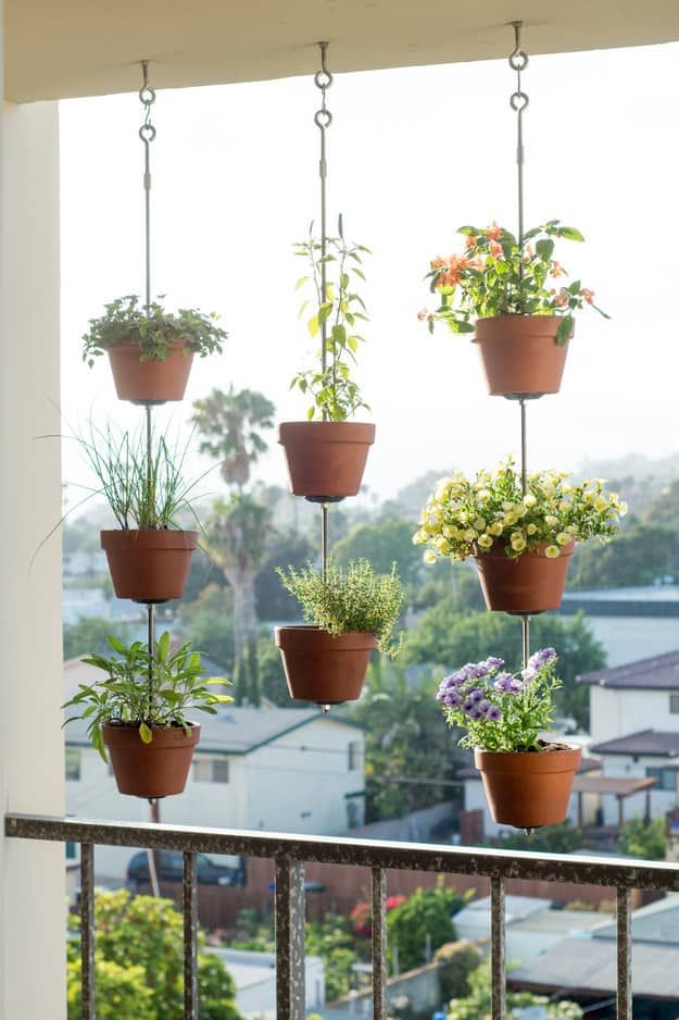Hanging Planters in balcony