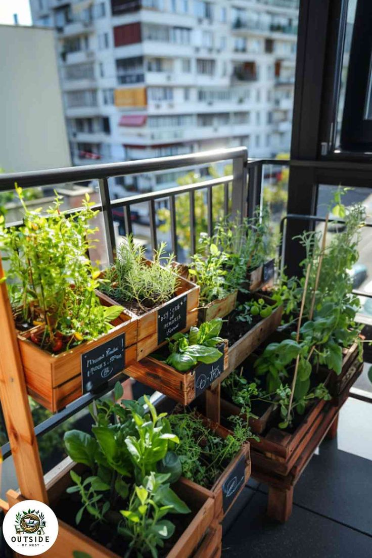 Mini Vegetable Garden in a small balcony