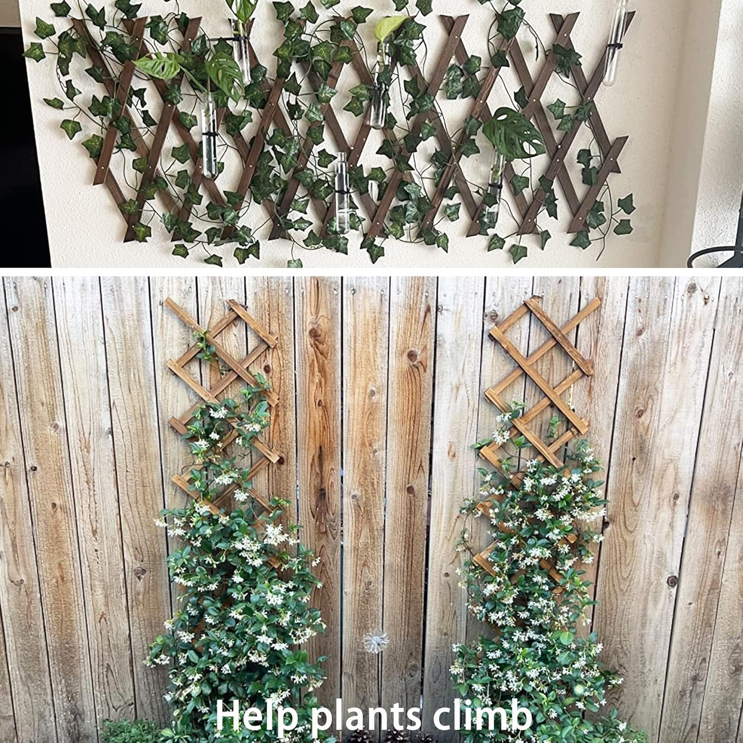 Plant Garden Trellis for Climbing Plants