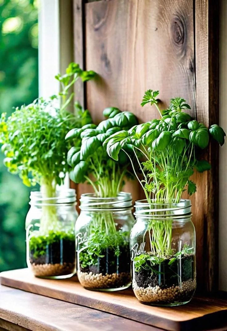 mason jars planters in balcony