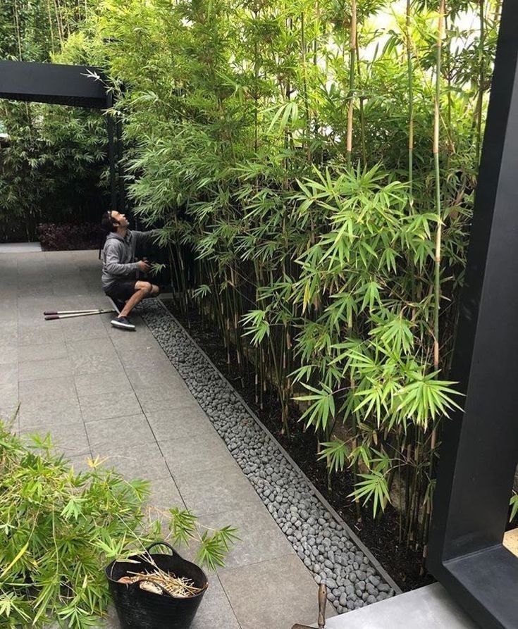 Bamboo Privacy Fence