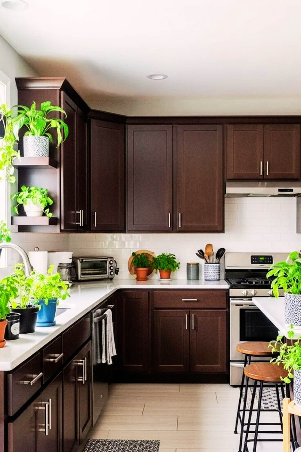 Dark Brown kitchen cabinets
