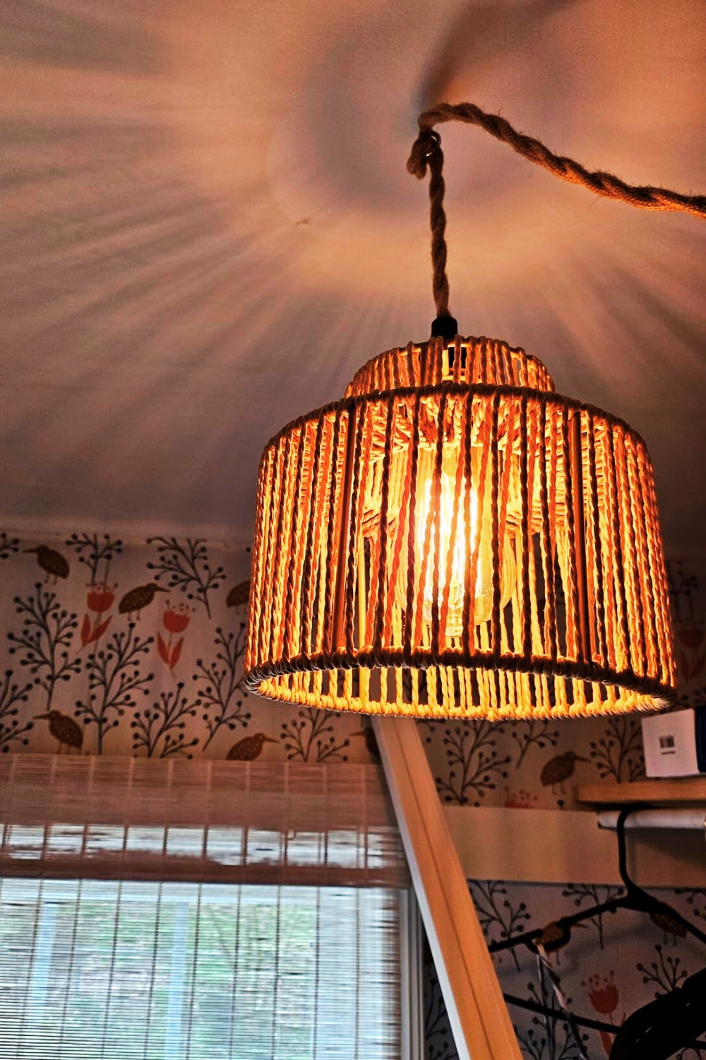 Eqquorva Rattan Pendant Lamp
